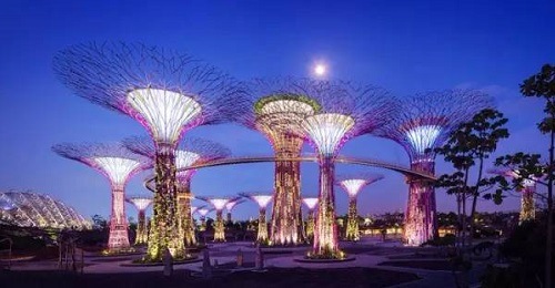 滨海湾花园"超级树"灯光秀 - 新加坡旅游景点